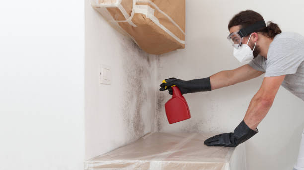 Professional Bathroom Mold Removal technician working in Greenville, NC