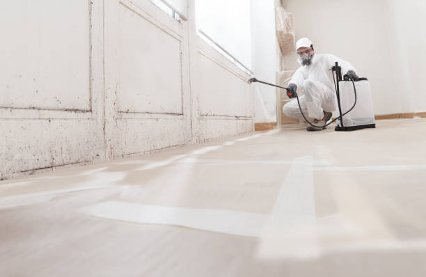 24/7 Emergency Bathroom Mold Removal experts in Greenville, NC