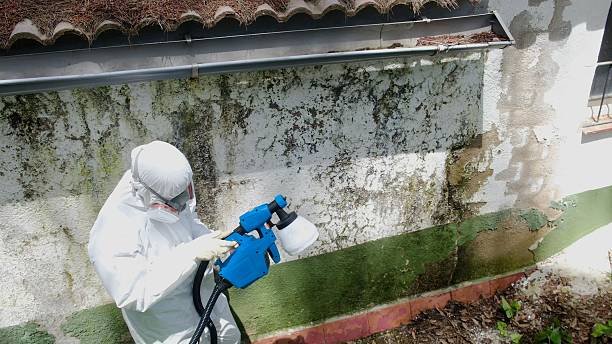 Top rated local Bathroom Mold Removal specialists in Greenville, NC